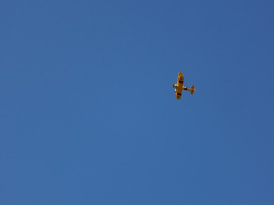 It's a bright yellow biplane and it's absolutely gorgeous. And I think it was doing the sky equivalent of cartwheels.