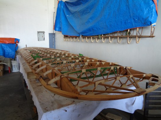 The skeleton of a wing.