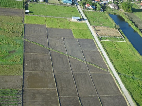 I see a tangram. Sort of. You?