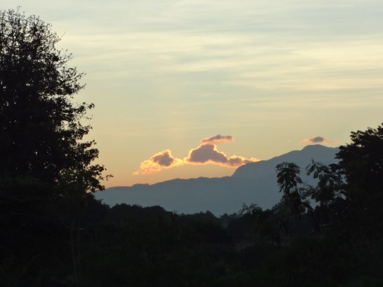 I see kissing dolphins!