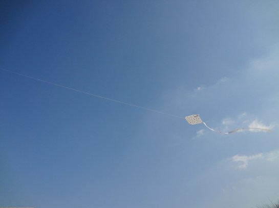 A kite! A kite! I adore kites!