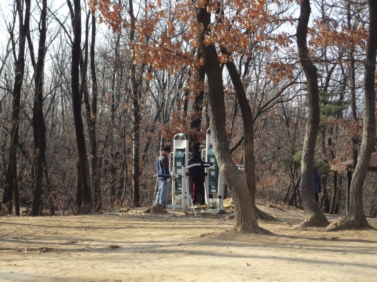 Exercise machines amidst historical treasures. But of course in Korea. 
