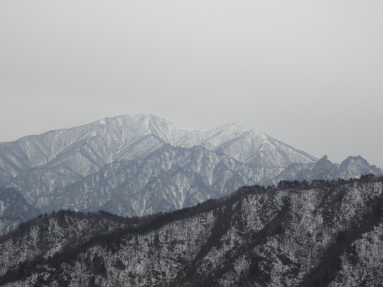 It's like a calligraphy painting that came to life!