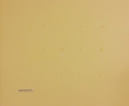 Can you see twelve squares?