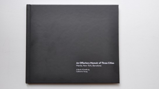 CatherineSarahYoung_ISFtalk.008