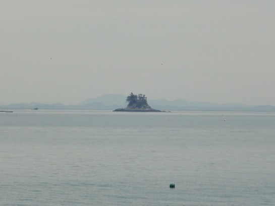 This looked so familiar.