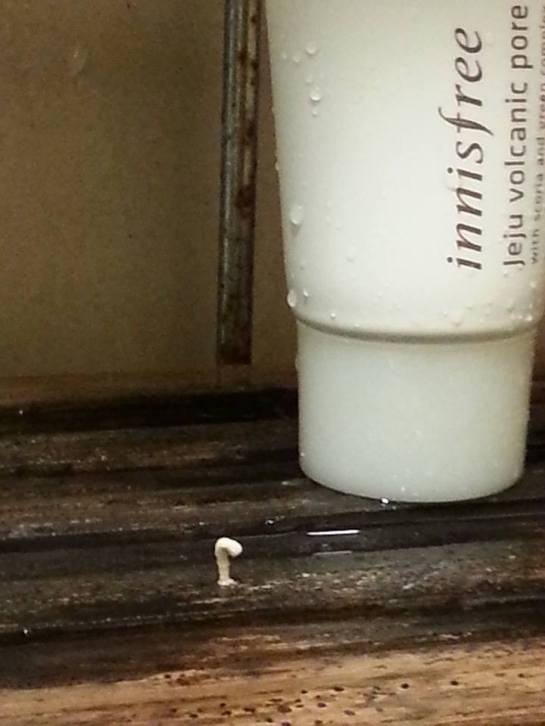 1453386_10153628825455122_2040611026_n