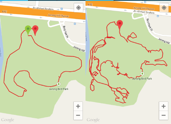 Happy Trails. (L) Track made by riding the tram. (R) Track made by walking.