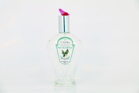 Eucalyptus by The Ephemeral Marvels Perfume Store