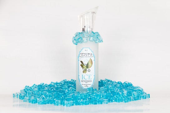Ice by The Ephemeral Marvels Perfume Store