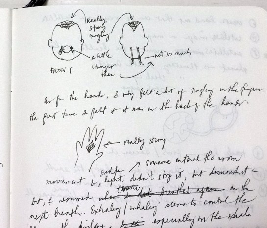 A page from my journal which shows where I feel it—on top of the head, on the face, and back of the hands and fingers.