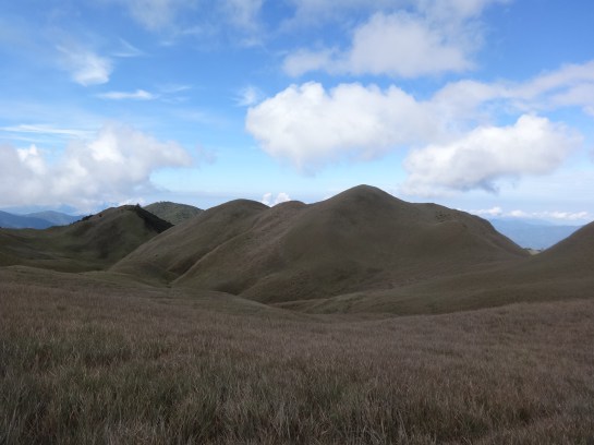 May no shopping mall ever befall you. God almighty.