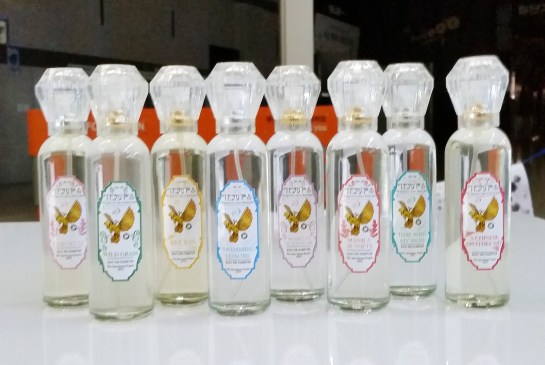 The Ephemeral Marvels Perfume Store Volume 2: A Walk Home