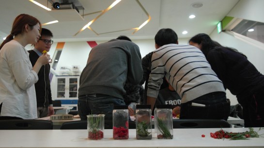 The haul from the Smell Walk