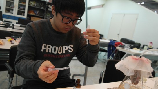 Another experience of making a perfume using commercial essential oils